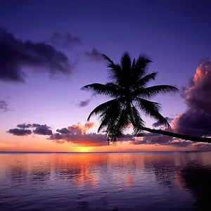 https://fare-kahaia.frenchpolynesia-hotels.com