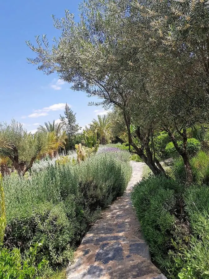 Villa Domaine Alma Marrakech à Marrakesh